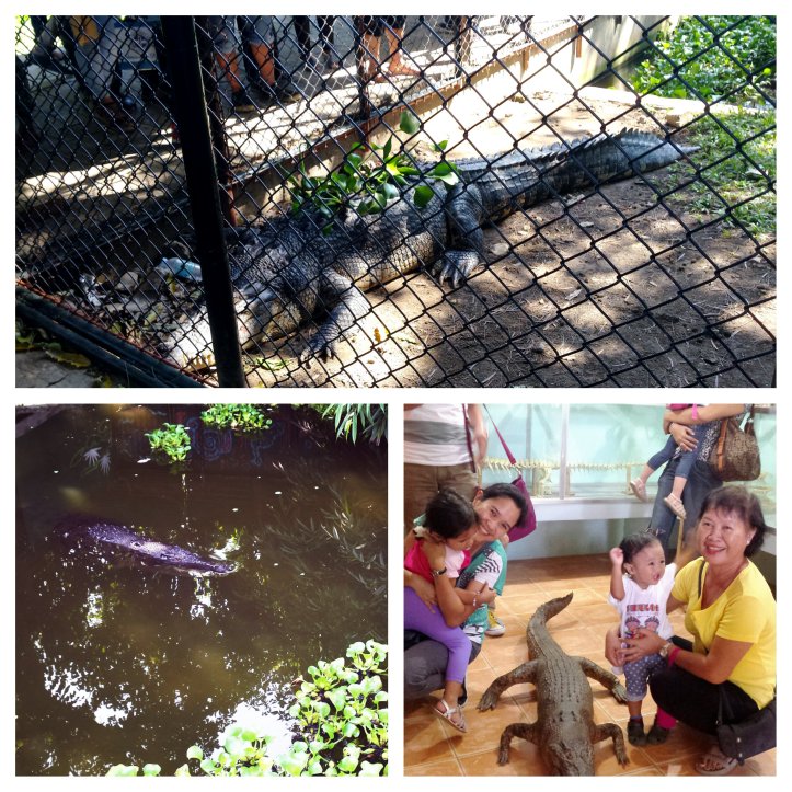 Moldiv_1454736616785