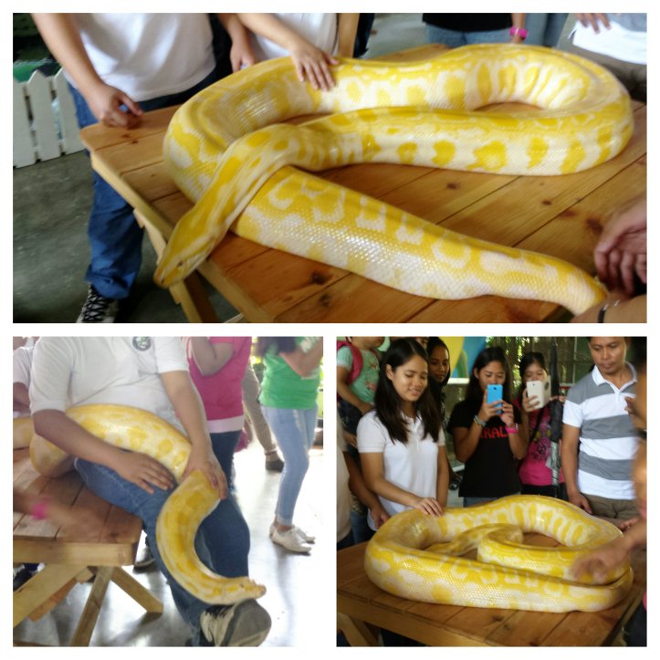 Moldiv_1454736831623