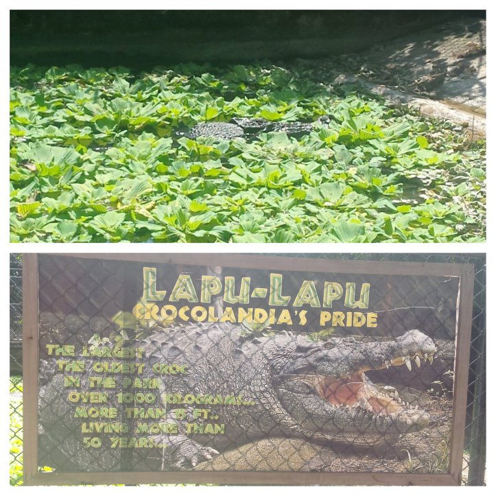 Moldiv_1454741038067