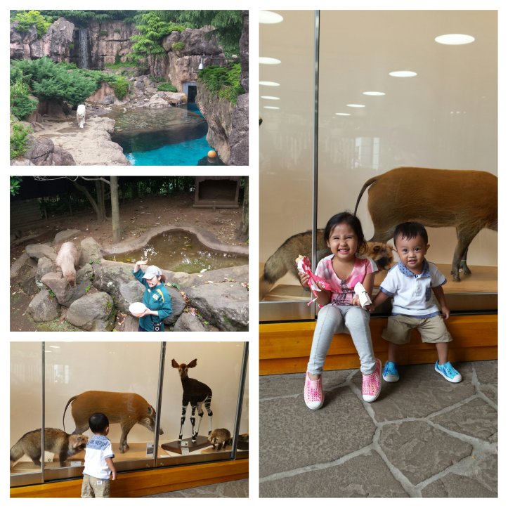 Moldiv_1466587649656