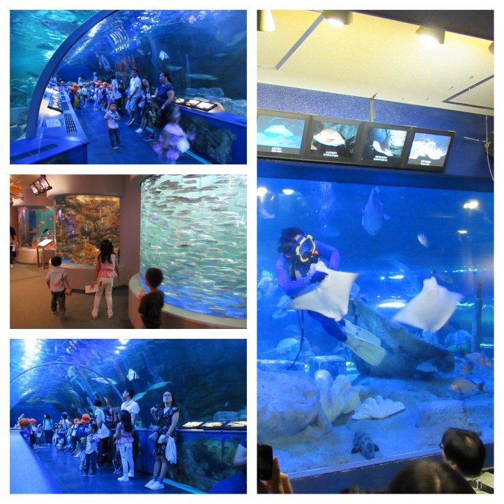 ShinagawaAquarium03