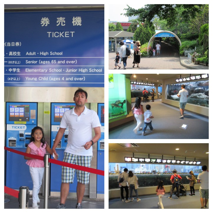 ShinagawaAquarium04