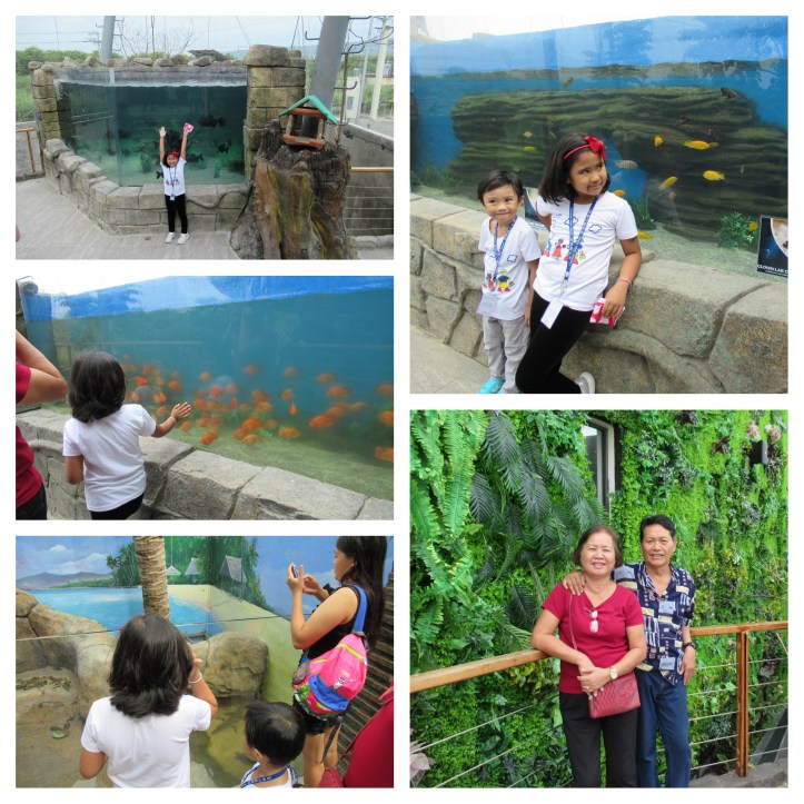 CebuOceanPark_A_03