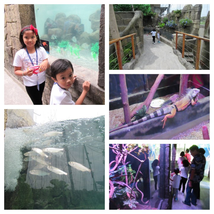 CebuOceanPark_A_04