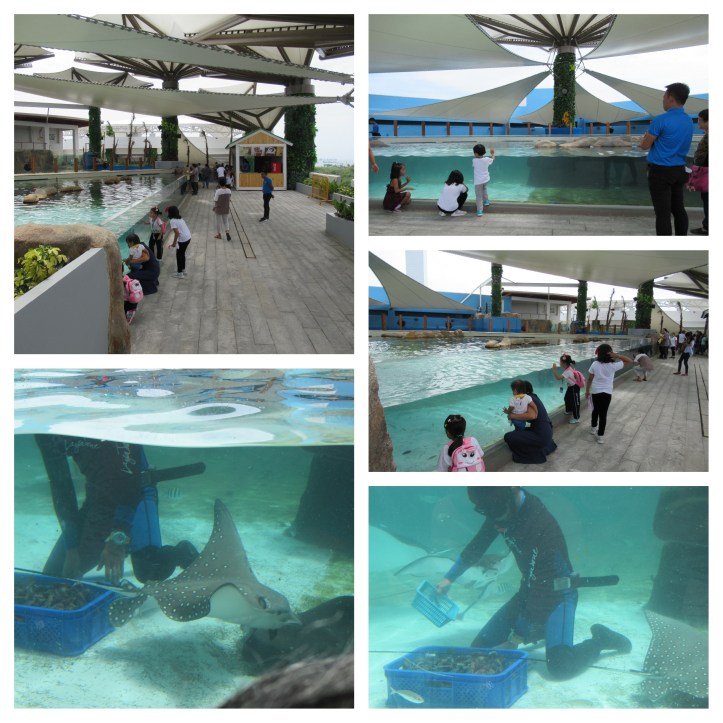 CebuOceanPark_A_05