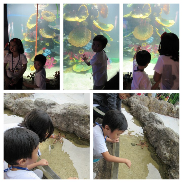 CebuOceanPark_A_07