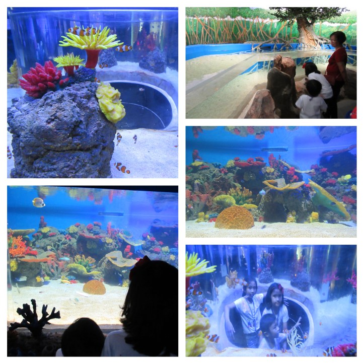 CebuOceanPark_A_08