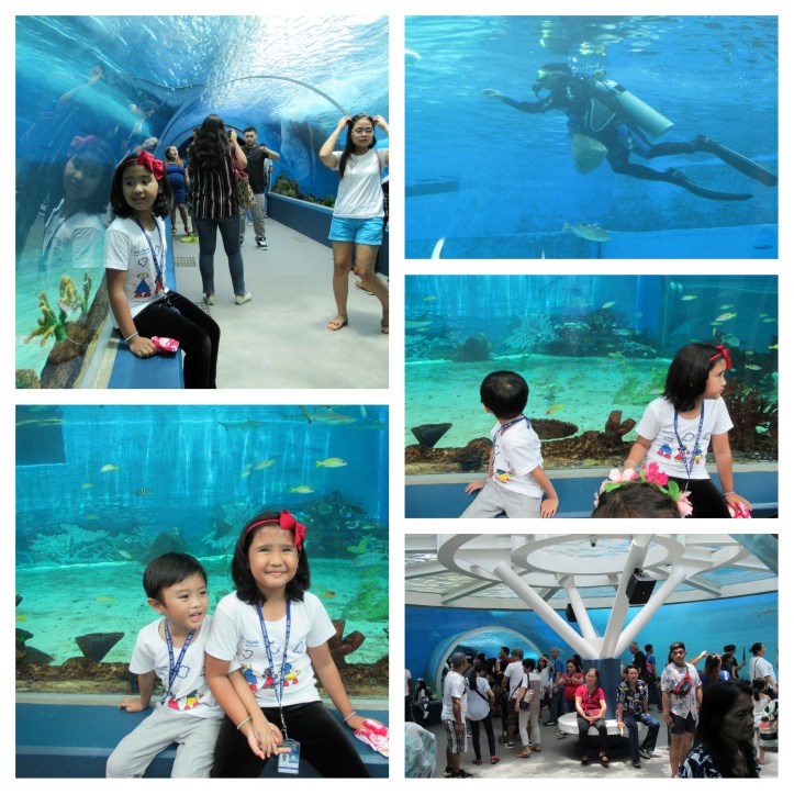 CebuOceanPark_A_10