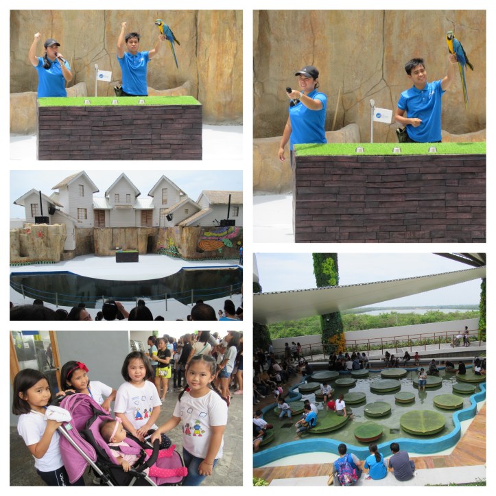 CebuOceanPark_A_11