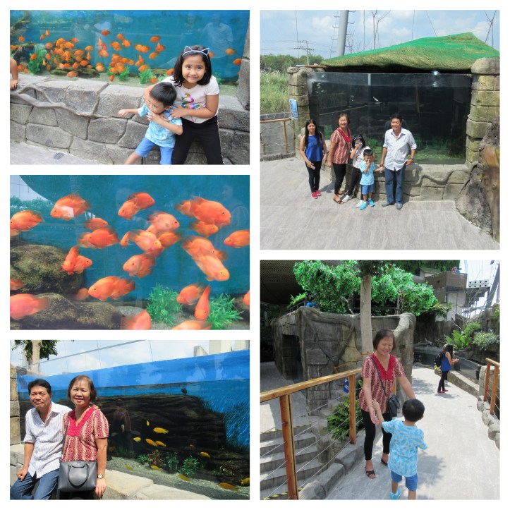 CebuOceanPark_B_04