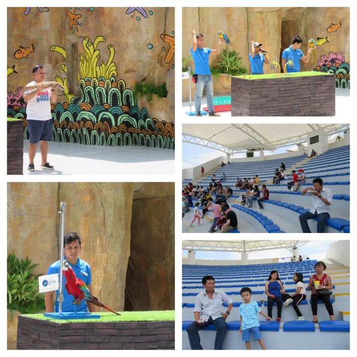 CebuOceanPark_B_11