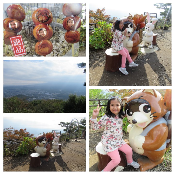 FujiPanoramicRopeway04