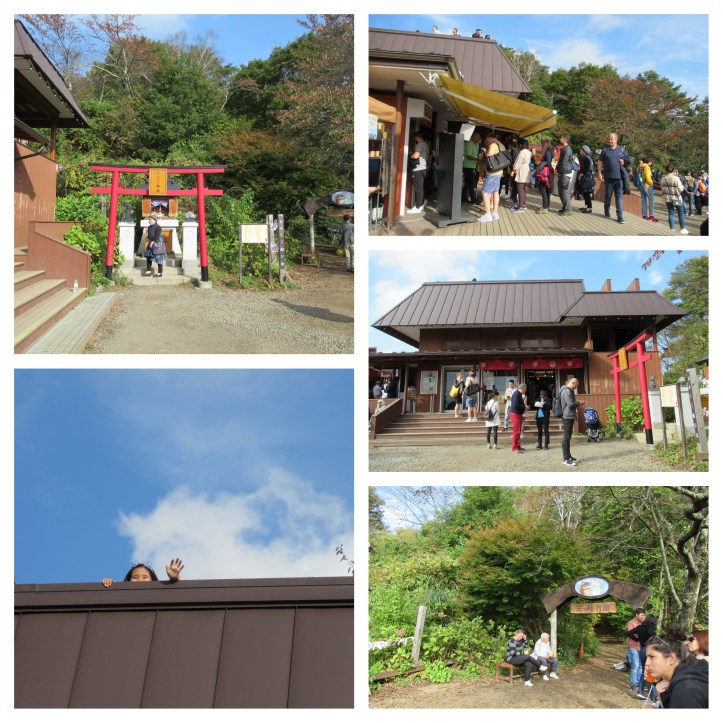 FujiPanoramicRopeway05