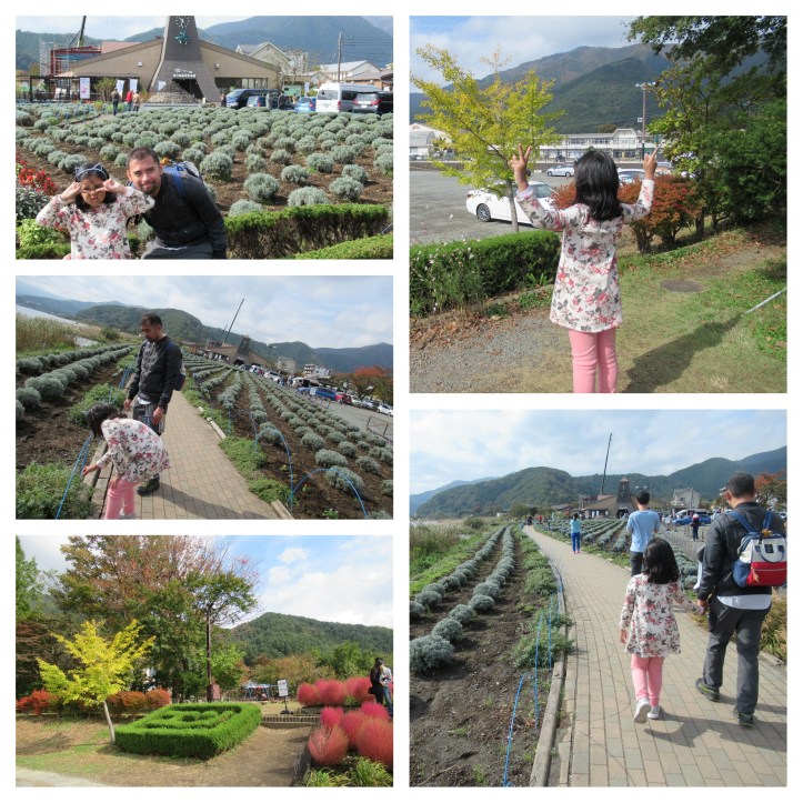 NaturalLivingCenter02