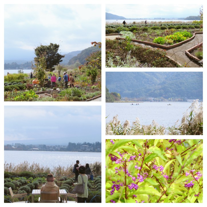 NaturalLivingCenter03