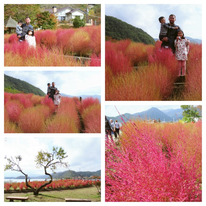 NaturalLivingCenter05