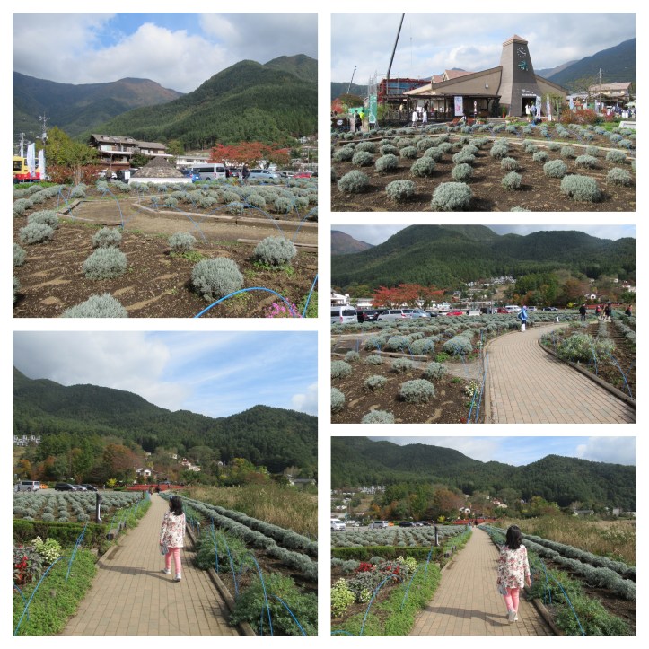 NaturalLivingCenter06